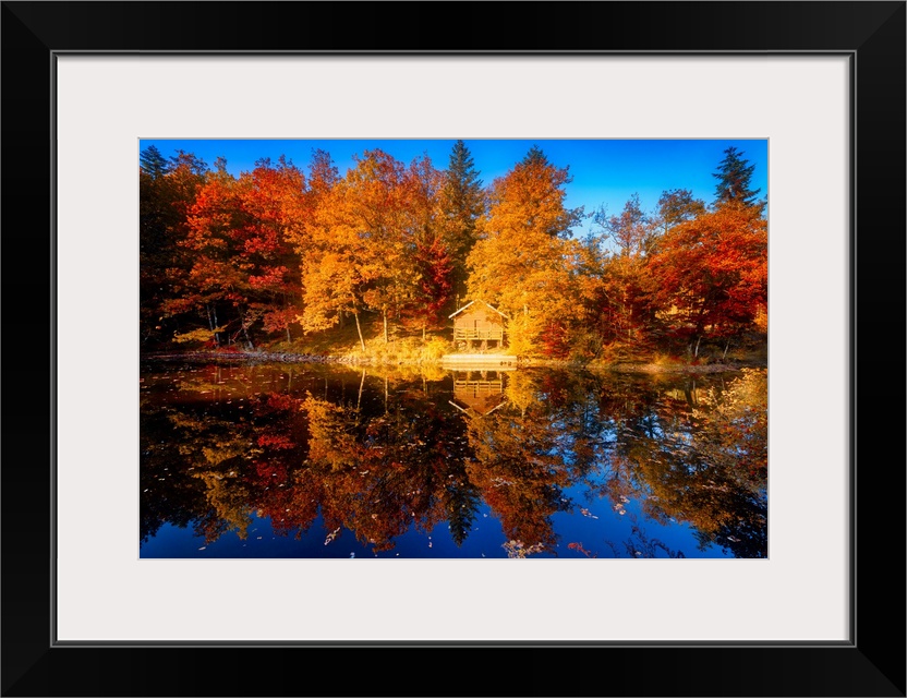 Trees in a variety of fall colors mirrored in a lake with a blue sky above.