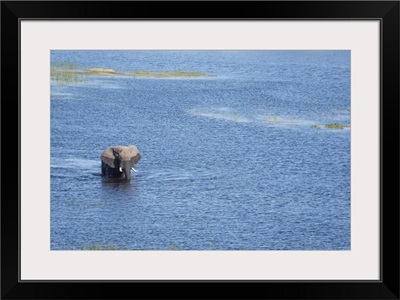 Elephant Crosses The River