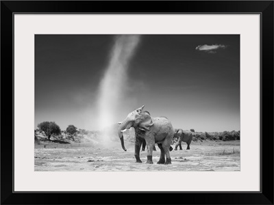 Elephant With Dust Devil
