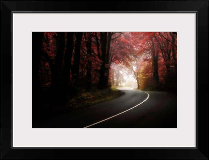 A road crossing the forest in Broceliande, France, Brittany, with pink leaves on the trees in a natural tunnel.