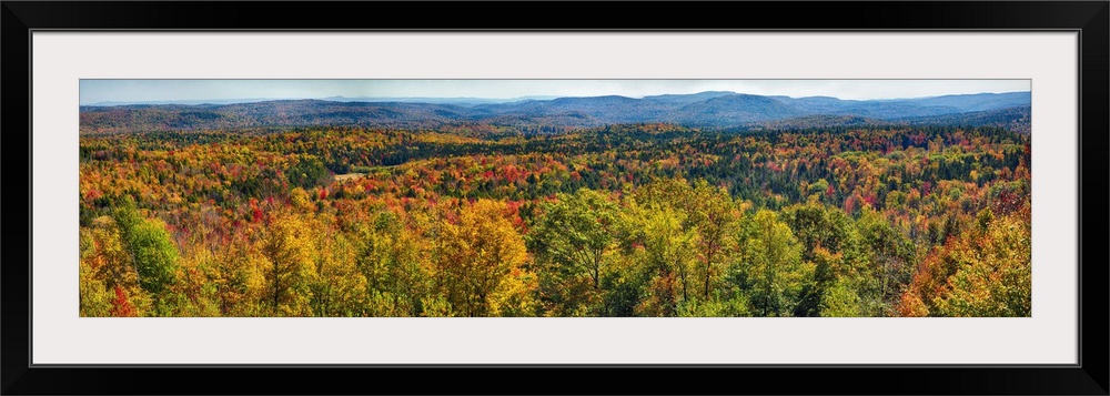 Panoramic view of a virtually endless forest turning autumn colors in New England.