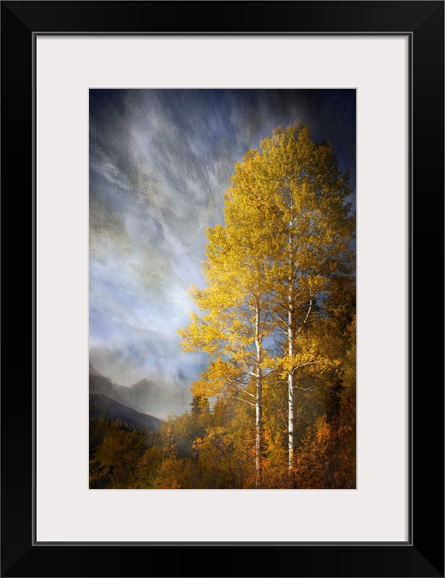 Photograph of a forest clearing in autumn foliage, under dramatic clouds.