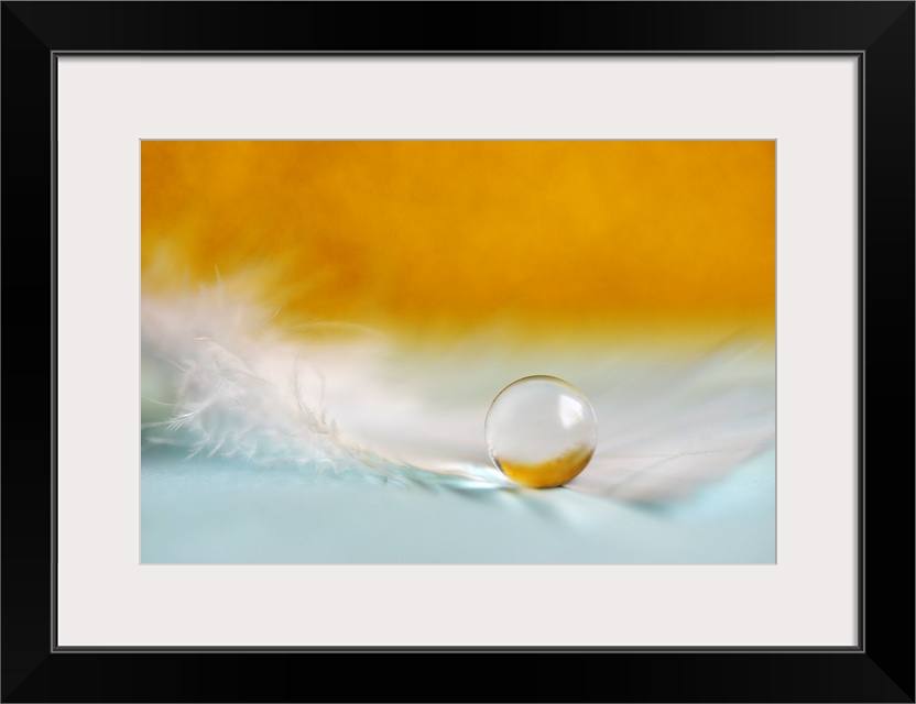 A macro photograph of a water droplet sitting on a feather against an orange background.