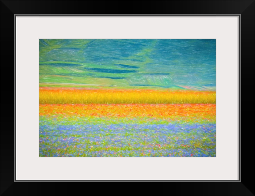 Fine art photo of a field of colorful flowers forming abstract shapes.