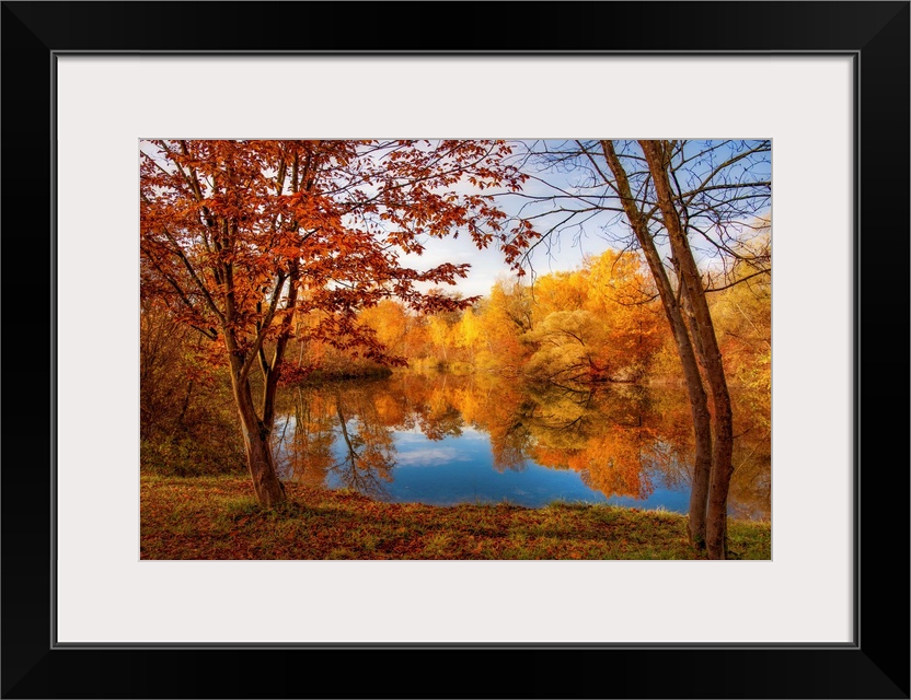 A pond in front of a forest in autumn with trees in the foreground