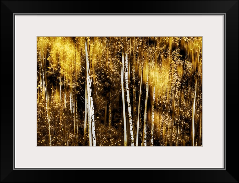 Large photo on canvas of a brightly colored forest with tall tree trunks.