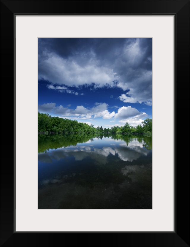 Forest is reflected in lake on a bright summer day