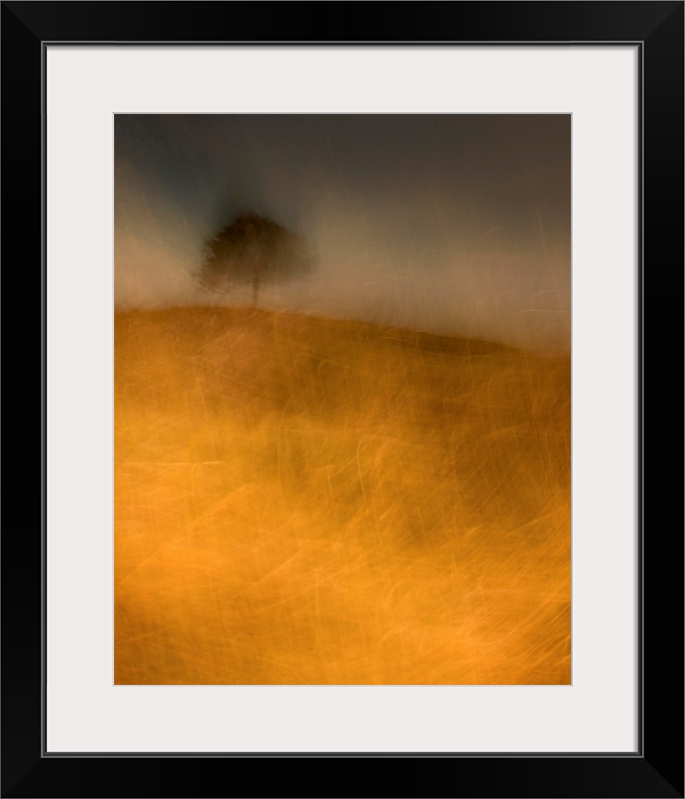 An impressionistic image of a lone tree in a storm on a small hill in a field of golden grasses.