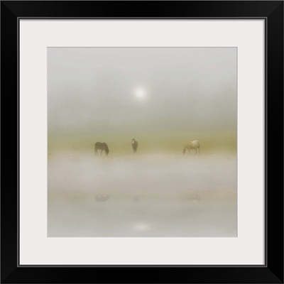 Horses Through The Mists