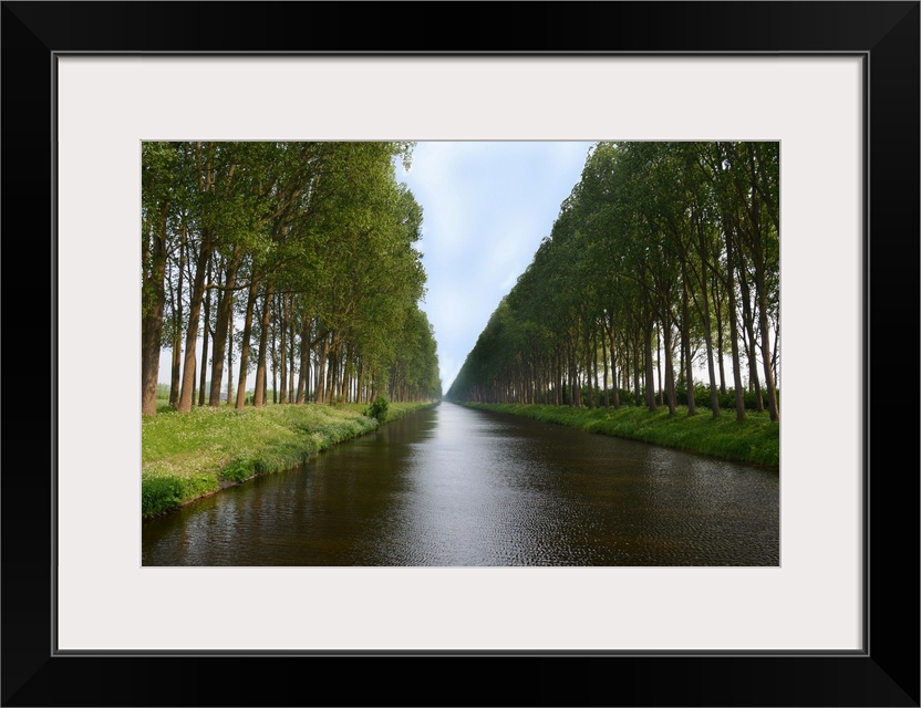 Tree lined canals near Damme in Belgium.