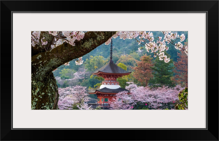 Fine art photograph of a building in Japan surrounded by blossoming trees.