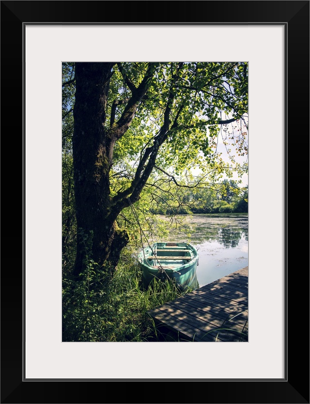 A rowboat berthed in the forest.