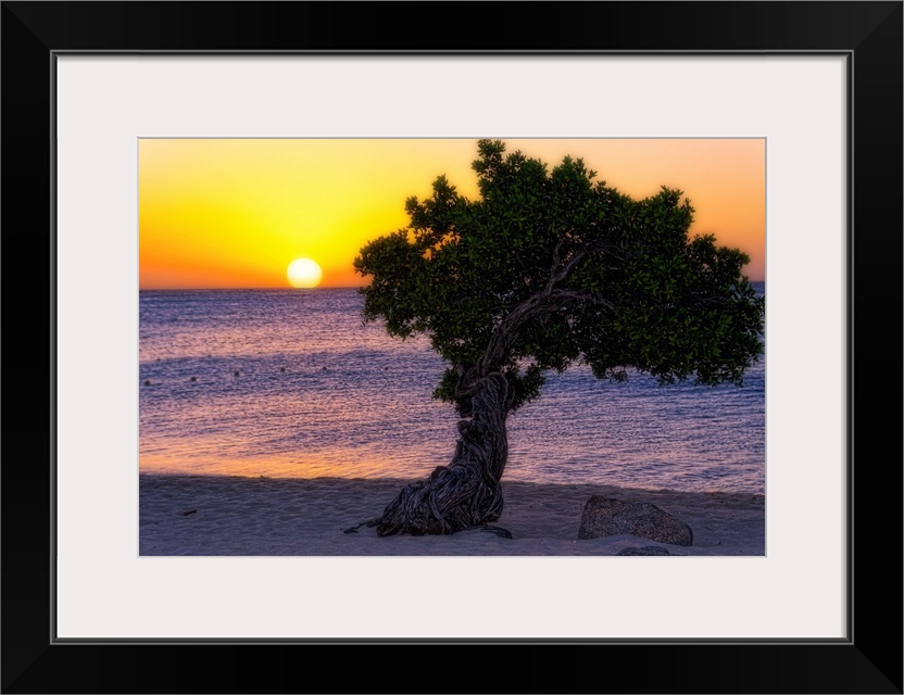 Fine art photo of a single tree on a sandy beach at sunset.