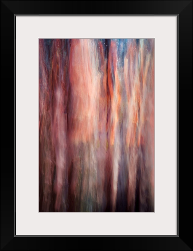 Abstract image of a group of very tall cedars at the edge of a large lake in British Columbia, Canada. The image was made ...