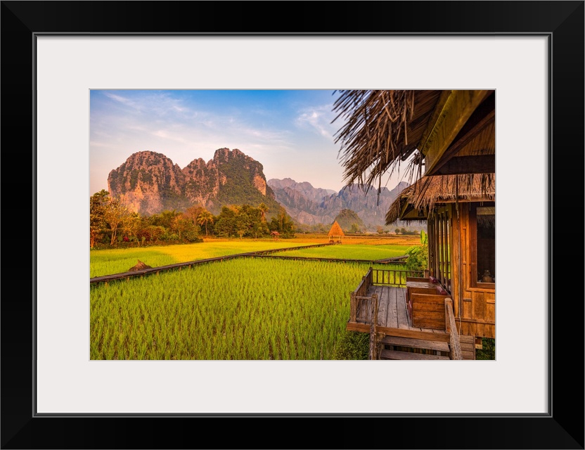 Green rice fields in Asia