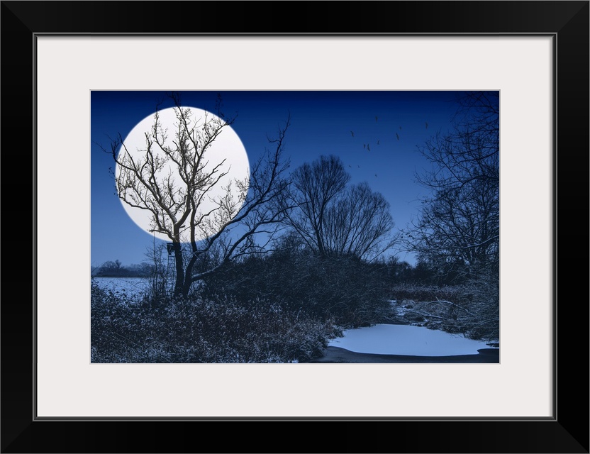 Night landscape with a big white moon