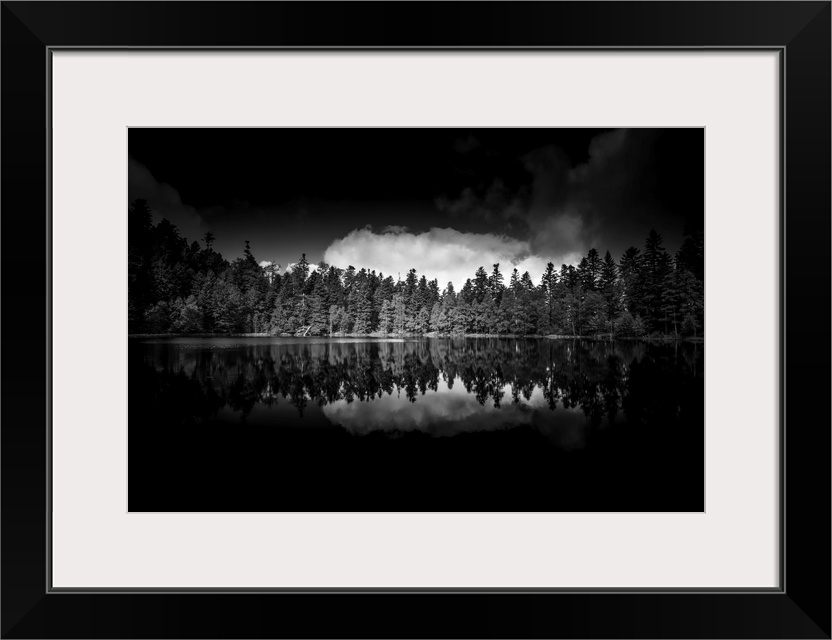 Black and white photograph of a row of reflecting trees onto a still lake with high contrasting clouds above.