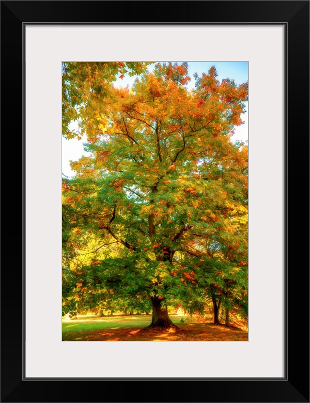 Autumn foliage of an oak with a expressionist photo or painterly effect