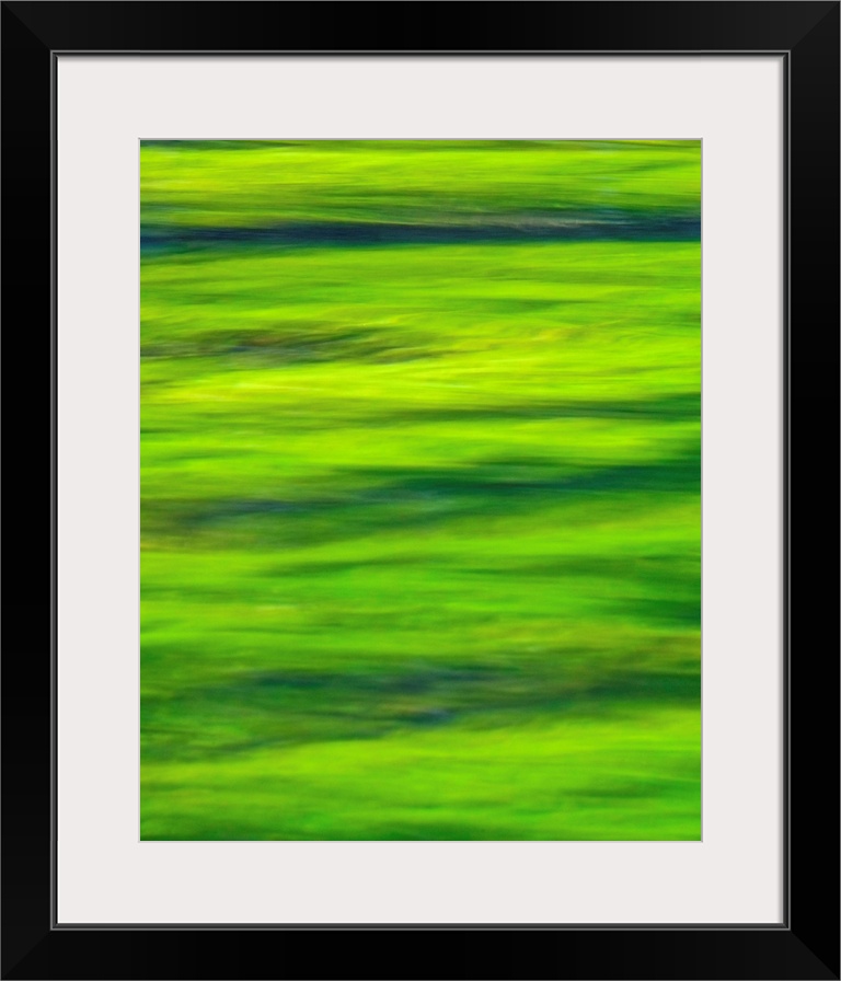Blurred photo of ripples in a green pond.