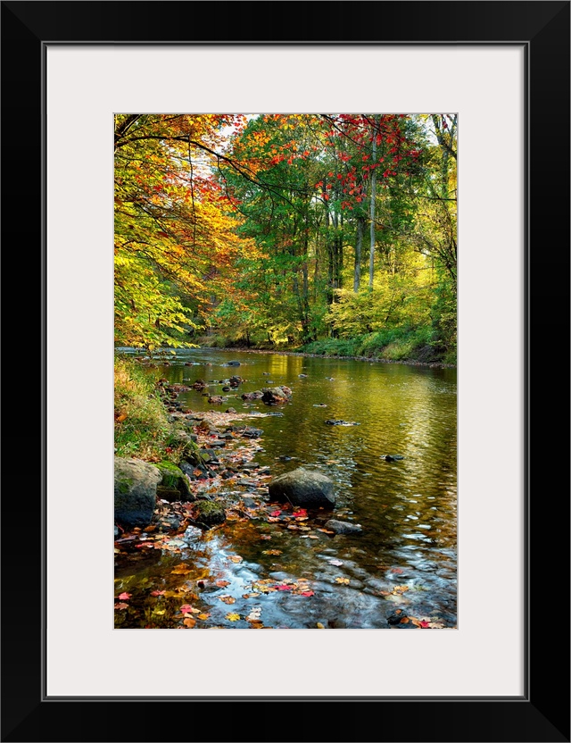 Fine art photo of a river in an autumn forest in New Jersey.