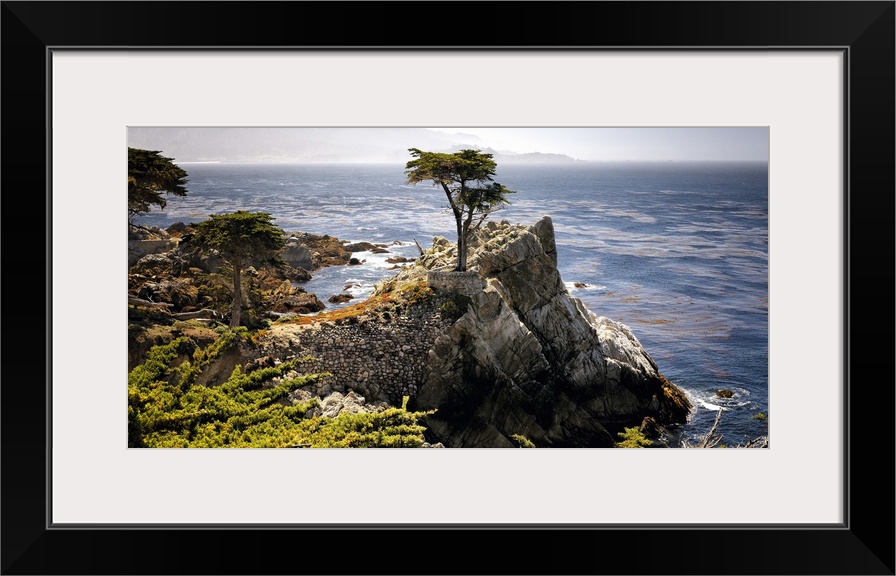 Lone Cypress tree, Pacific Coastline at Pebble Beach, Monterey Peninsula, California.