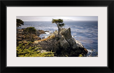 Point Lobos, Carmel
