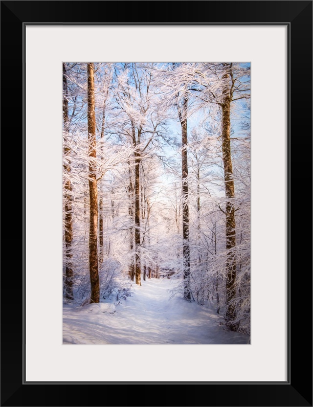 Photo Expressionism - Path in a snowy forest.