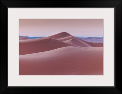 Sahara Dunes At Sunrise