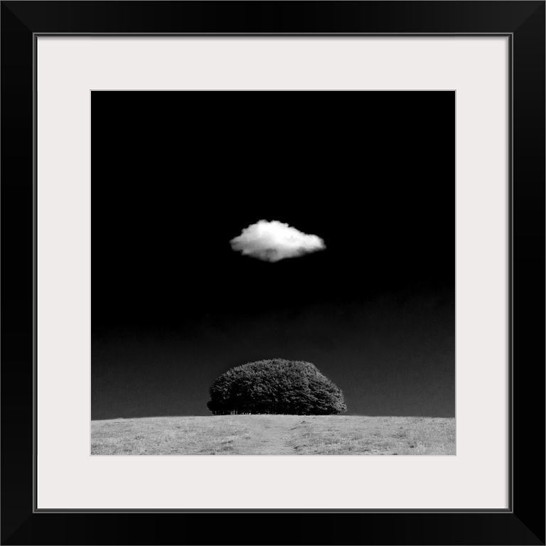 A zen-like monochrome black and white landscape with a small copse of trees on a domed hilltop over white a tiny white flu...