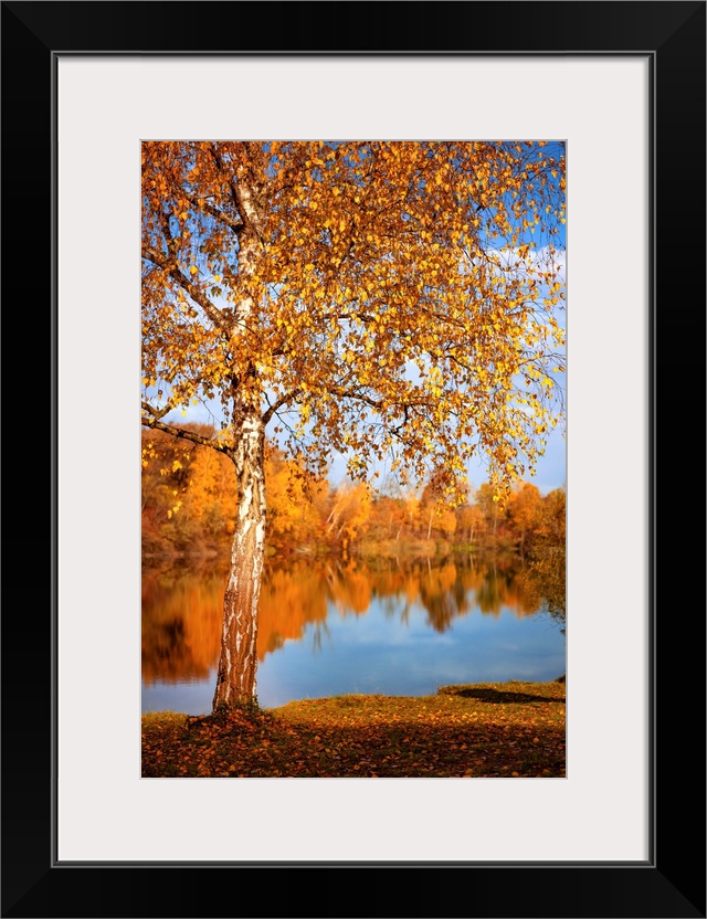 Fall landscape with a pond surrounded by trees