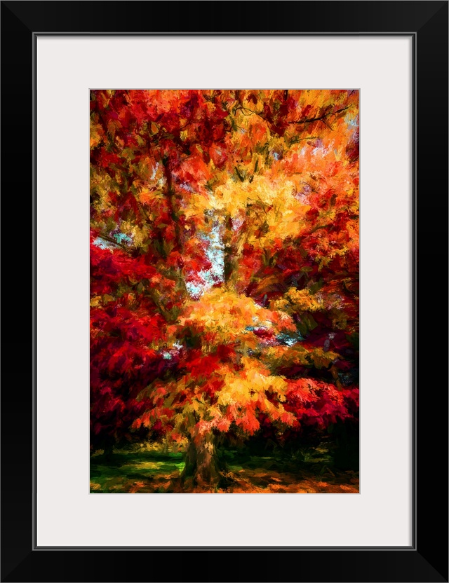 Oak in autumn colors with a expressionist photo or painterly effect