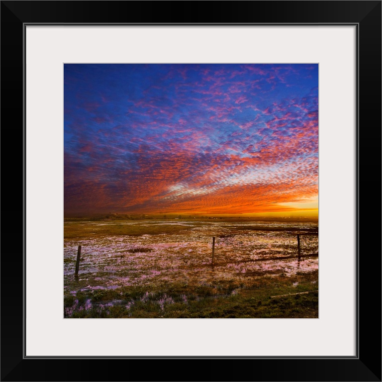 Skies over the wetlands