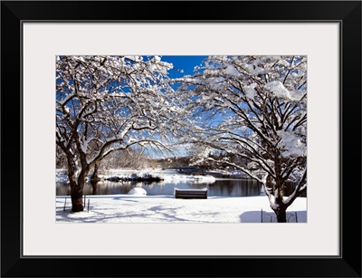 Snow Covered Trees, Winter Scenic, South Branch of Raritan River