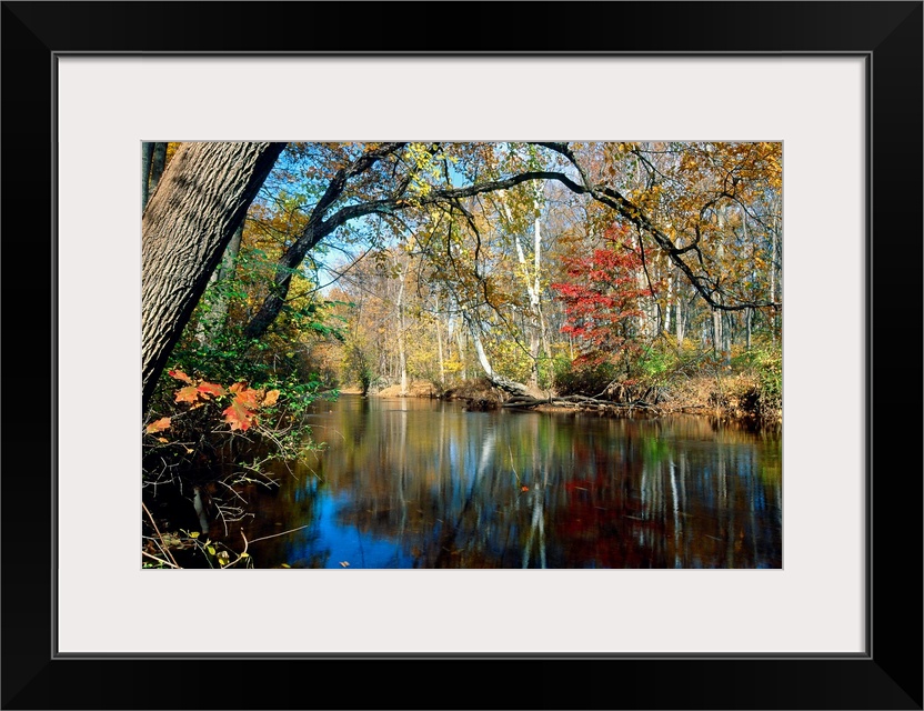 This landscape photograph is the Lamington River flowing through a forest in New Jersey in late autumn or early winter.