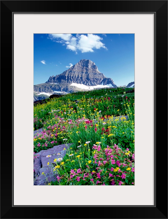 Tall canvas of beautiful wildflowers in a field in front of a rugged mountain.