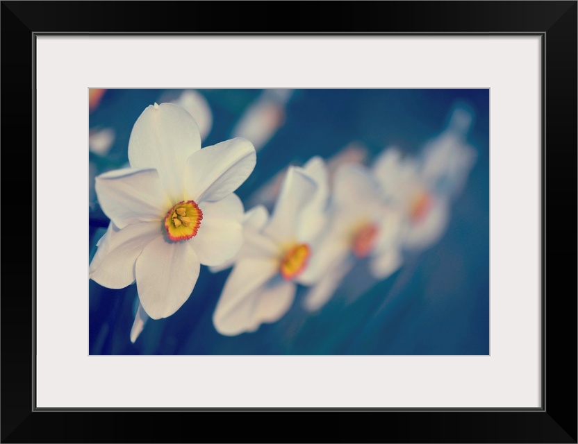 Horizontal photograph on a large wall hanging of big, blooming flowers in a row, focus becomes softer on the right side of...