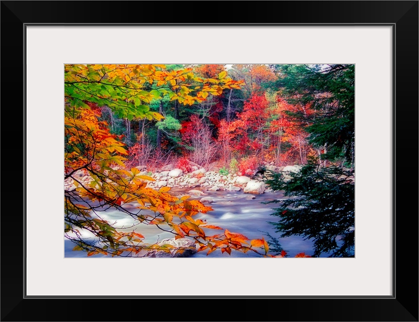 Huge photograph taken from the rocky shore of a stream running through a woodland covered in the colors of Fall.