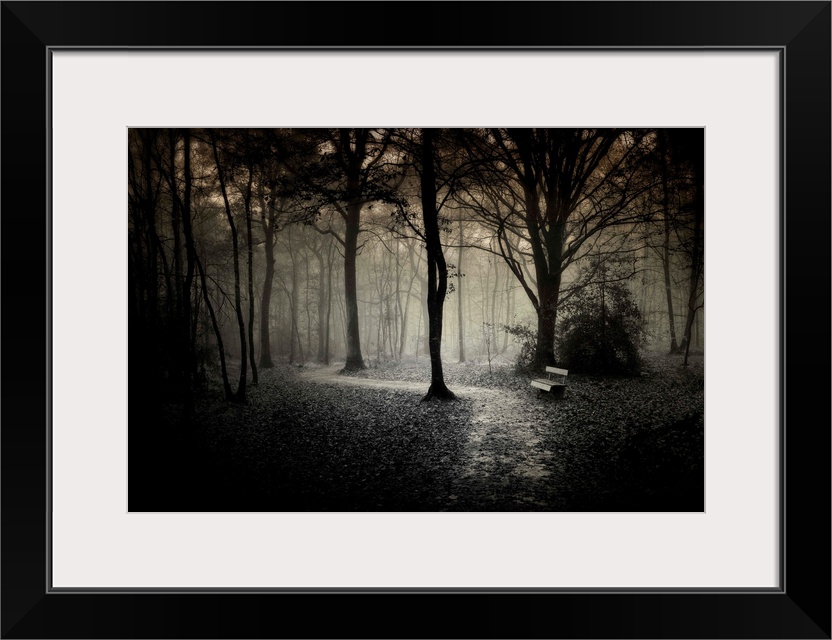 Alone bench and path in the dark forest of Broceliande in France, black and white work.