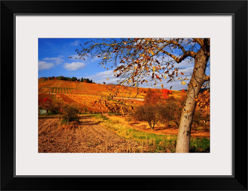 Large artwork showing a tree during the autumn that has lost many of its leaves with farmland that goes back as far as you...