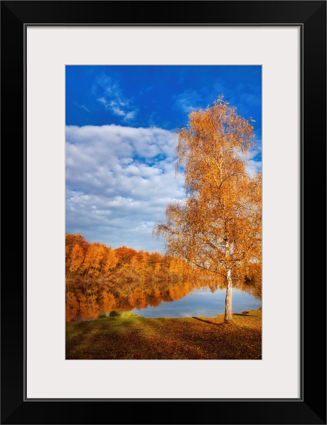 Autumn landscape with trees around a lake under a blue sky