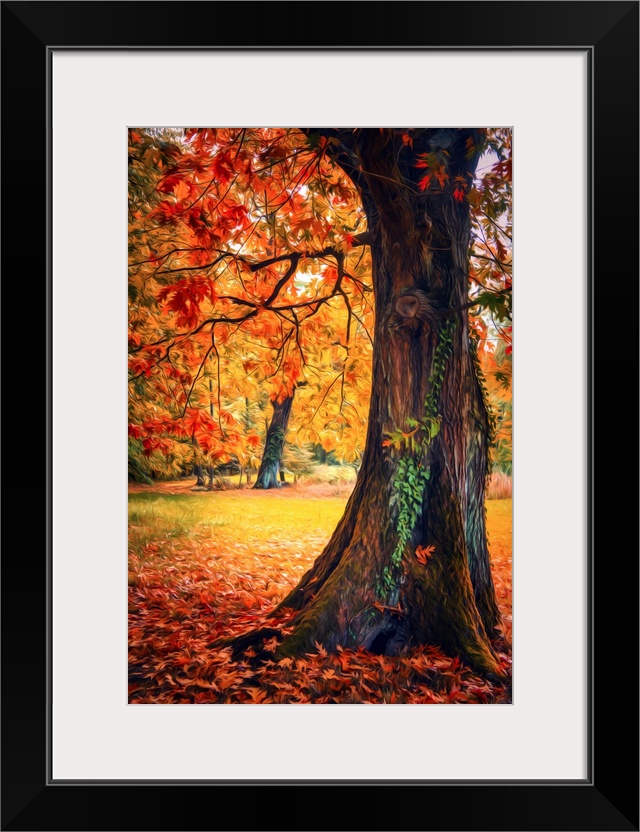 Photo Expressionism - Trees in autumn with a tree trunk in the foreground.