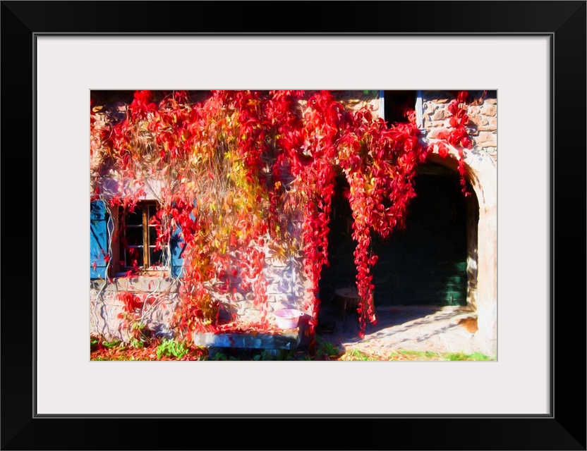 Hanging vines with red leaves over a stone archway and window.