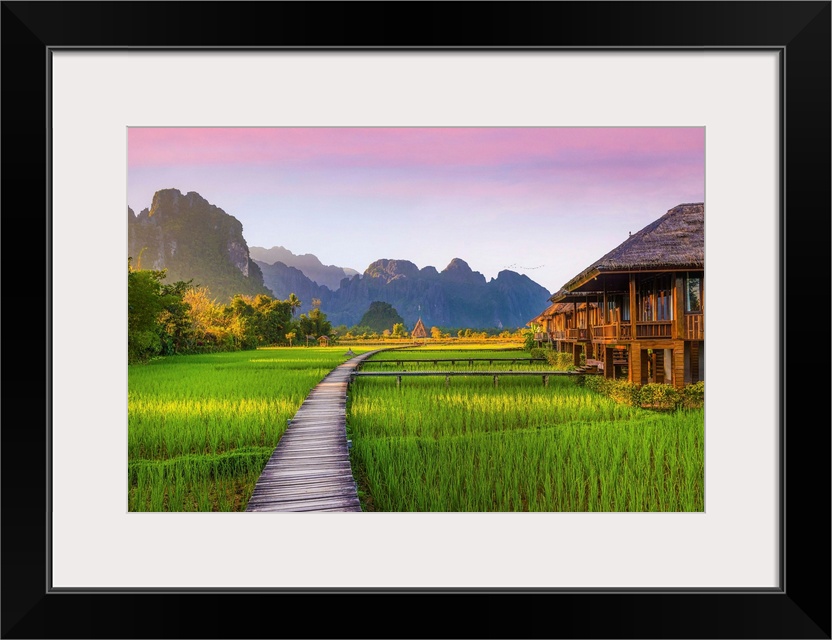 A pontoon crosses a rice paddy in Laos