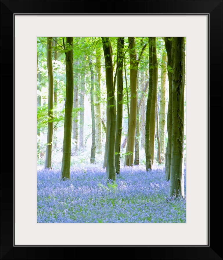 Vertical painting on canvas of a forest with wildflowers sprinkled on the ground beneath them.