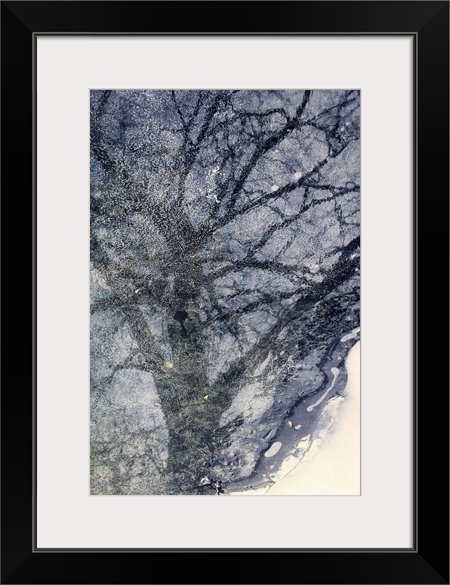 Reflection of a tree in a frozen pond.