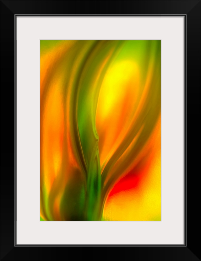 Vertical, fine art, close up photograph of a vibrant tulip, the image is very soft and fluid with no crisp detail.