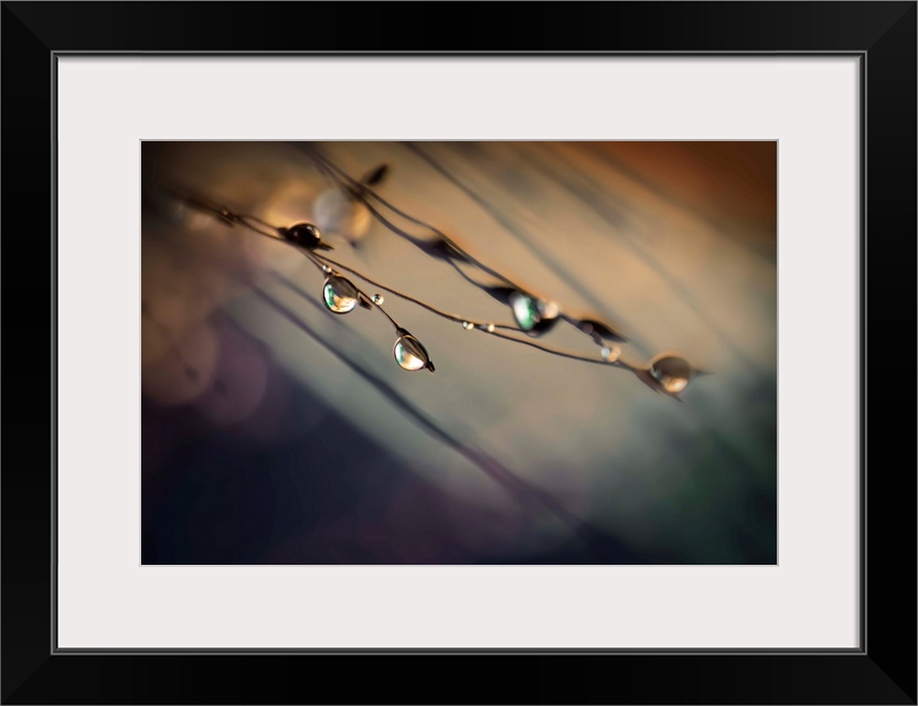 Fine art photo of water droplets clinging to very thin twigs with a bokeh background.