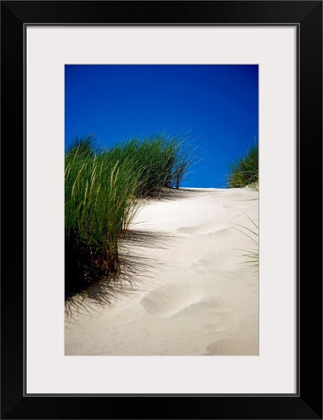 This decorative wall art is a vertical photograph showing the detail of a path up a sand dune unmarred by footsteps.