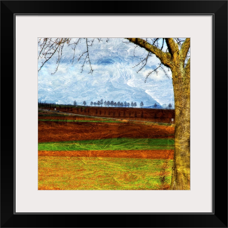 Square, large, fine art wall hanging of a big tree in the foreground, against a landscape of alternating grasses and dirt,...