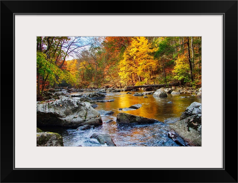 Vibrant hues of Fall foliage, Black River, New Jersey.